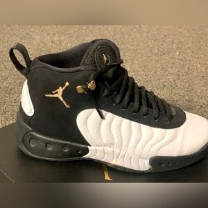 Air Jordan 12